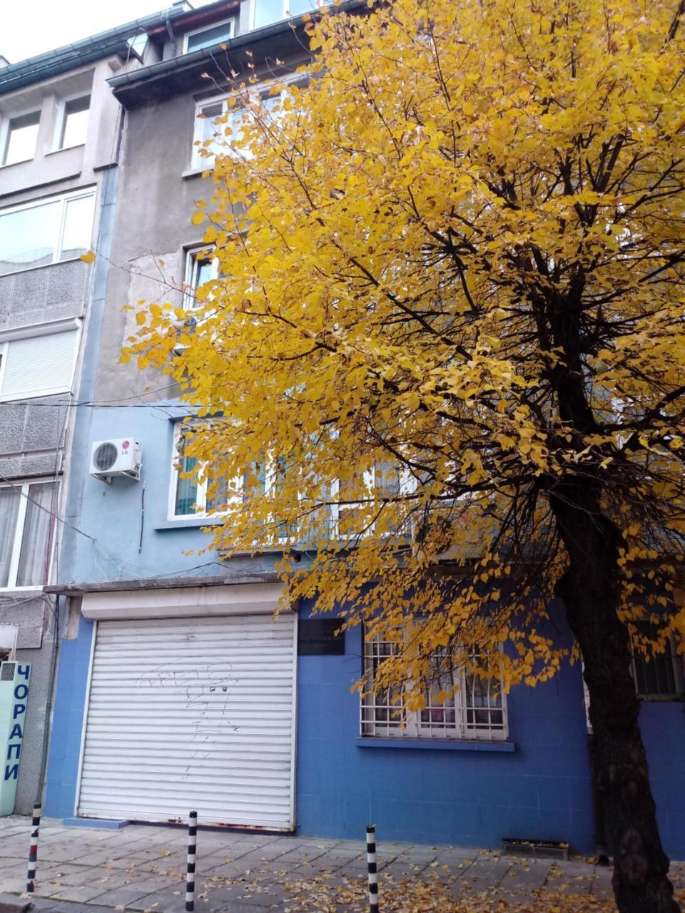 Atelier 9 - Art Mansard Studio Sofya Dış mekan fotoğraf